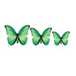 3D Butterfly Acrylic Prints Set of 3