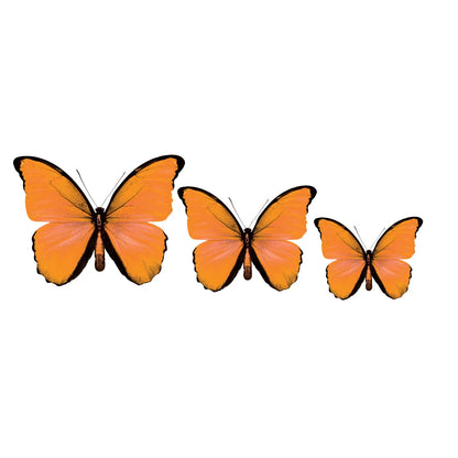 3D Butterfly Acrylic Prints Set of 3