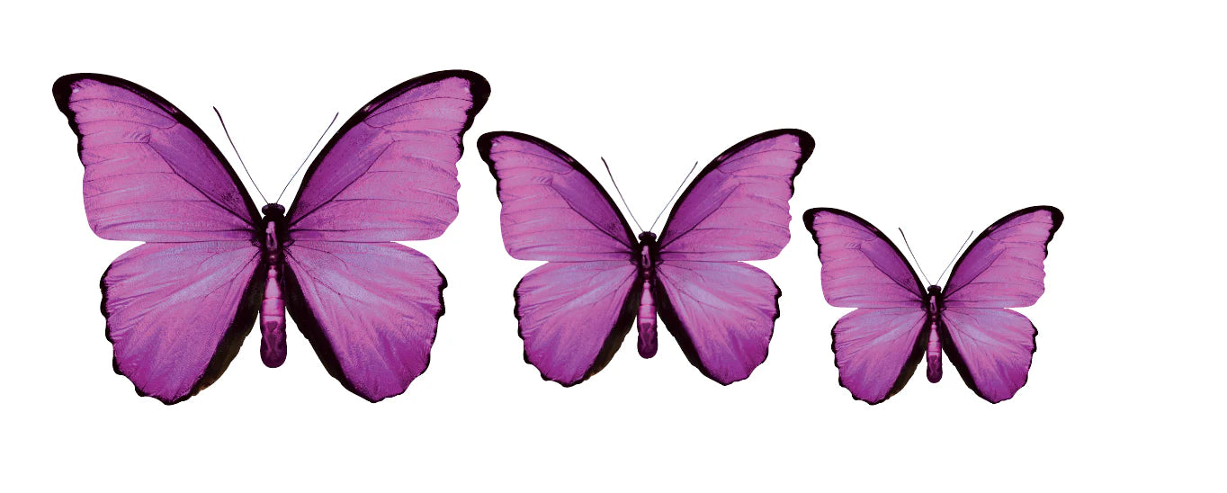 3D Butterfly Acrylic Prints Set of 3