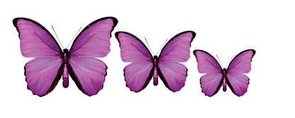 3D Butterfly Acrylic Prints Set of 3