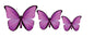 3D Butterfly Acrylic Prints Set of 3