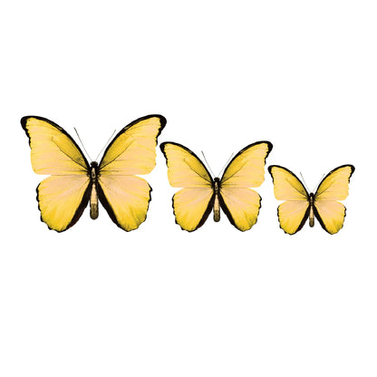 3D Butterfly Acrylic Prints Set of 3