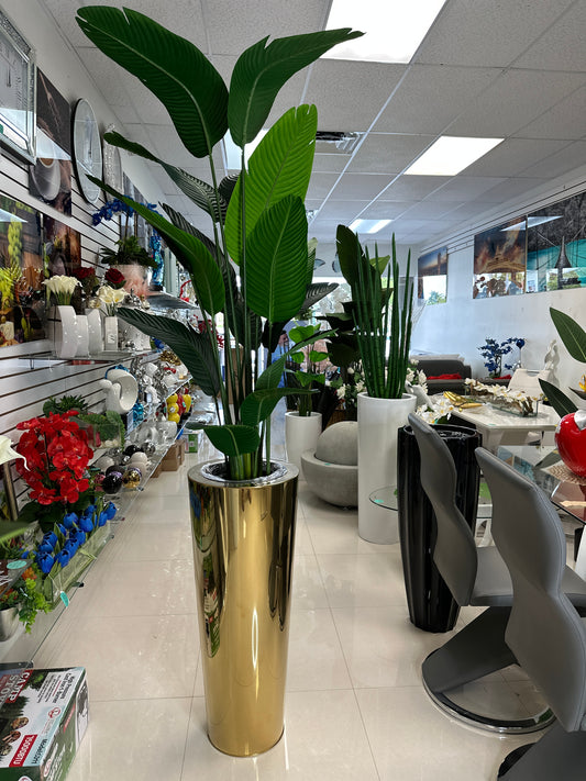 Bird of Paradise Plant in Tall Gold Planter