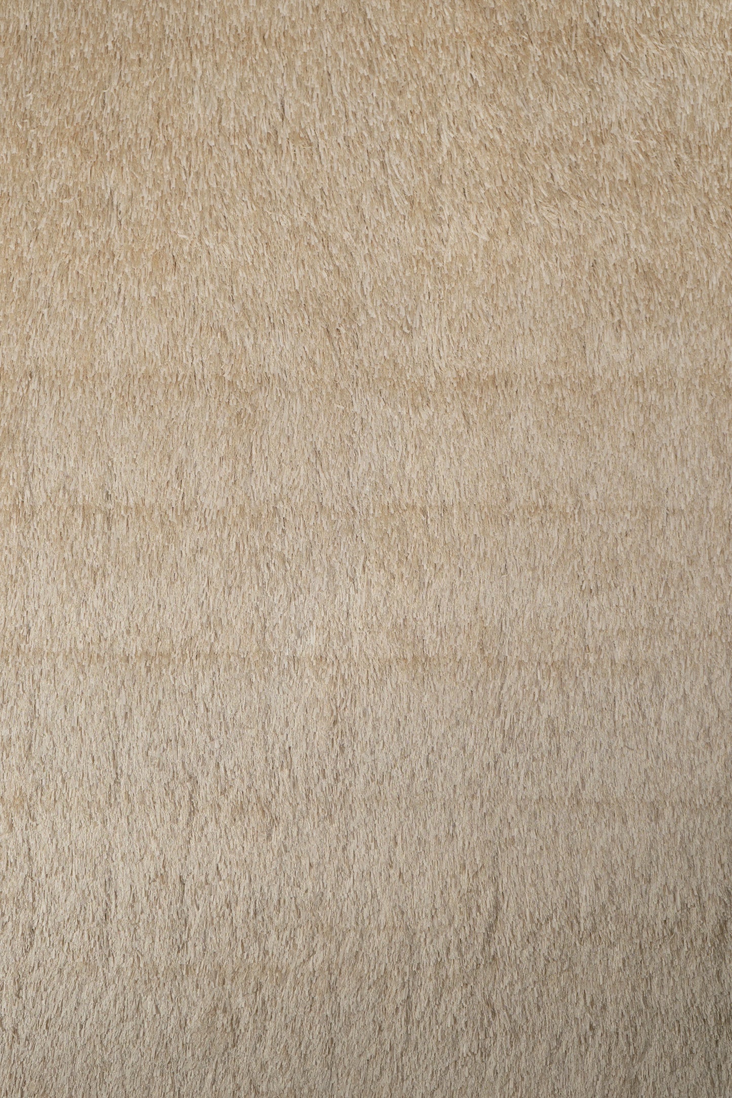 LushShag Area Rug – 5' x 7'
