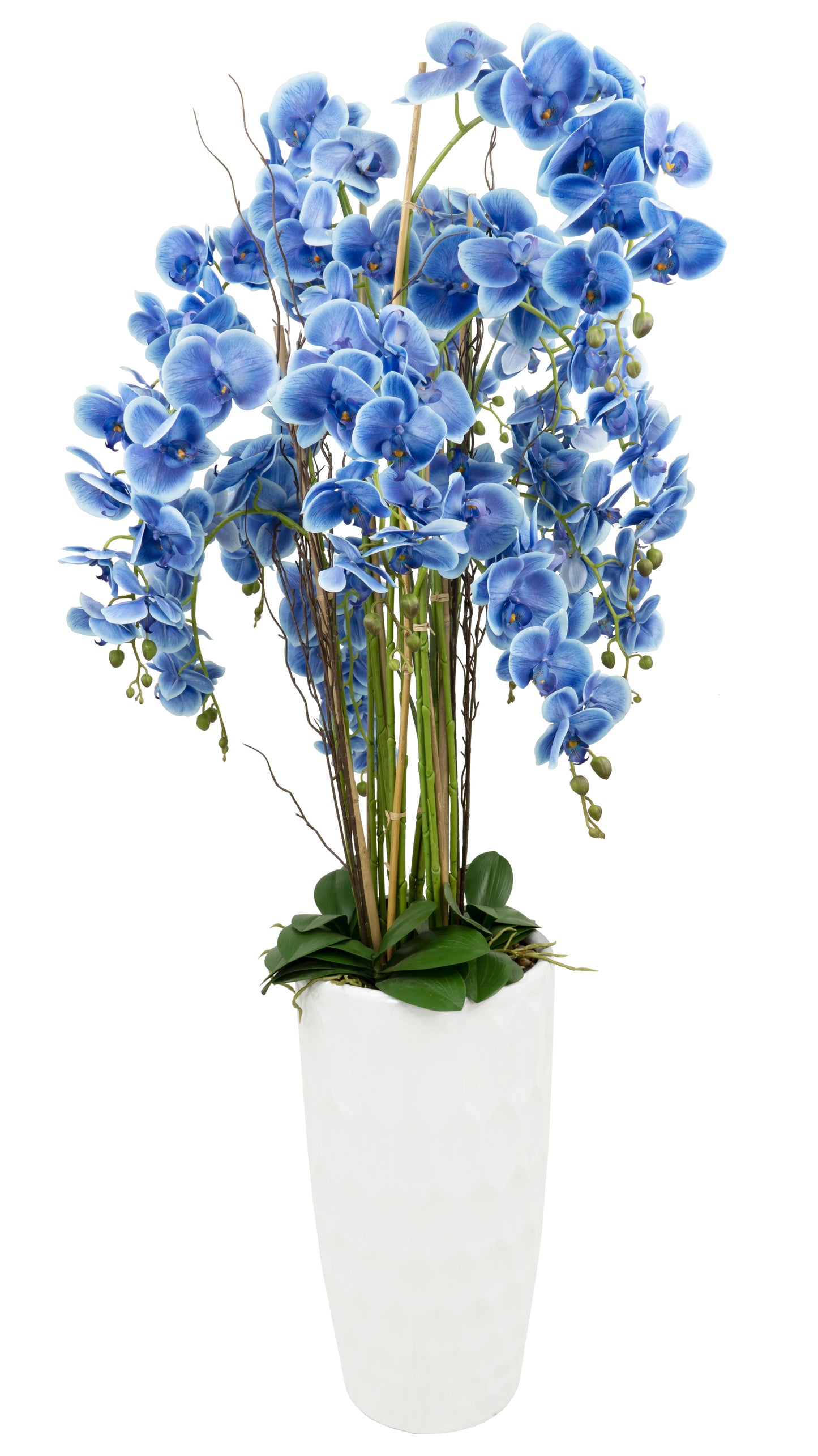 65" Orchid Square Floor Circle Vase