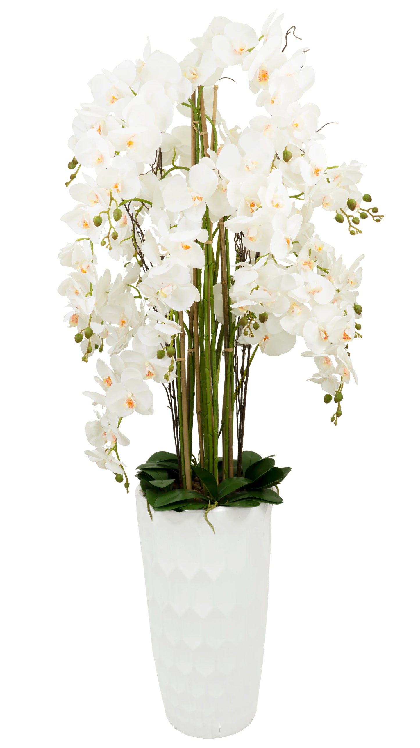 65" Orchid Square Floor Circle Vase