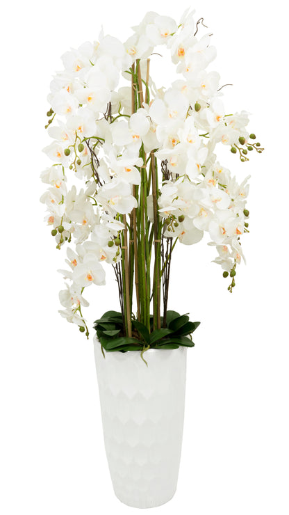 65" Orchid Square Floor Circle Vase