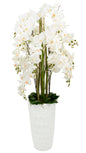 65" Orchid Square Floor Circle Vase